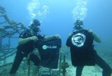 Keindahan Hidupan Laut Dalam – Team OHBULAN! Cabar Diri Menjelajah Ke Dasar Laut Tioman.
