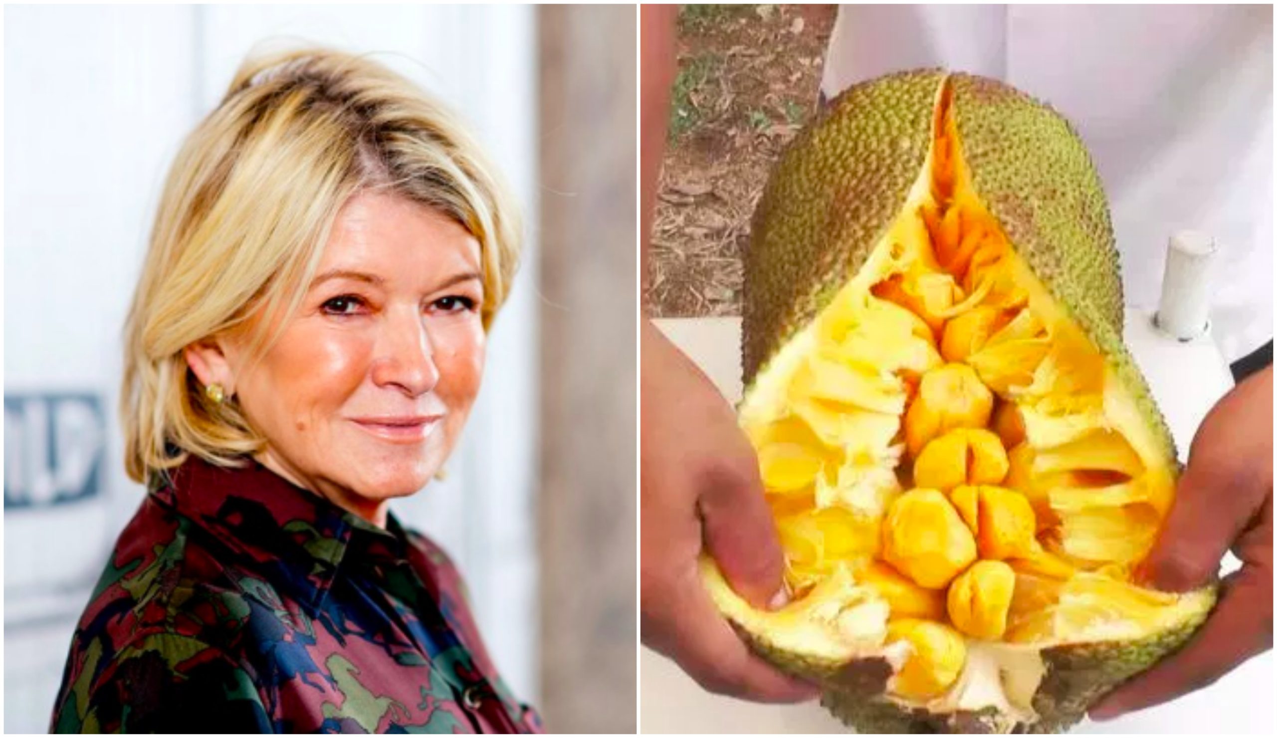 Keliru Nangka Dengan Durian, Chef Selebriti Popular Jadi Bahan Gelak Netizen