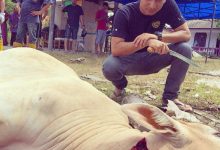 Zizan Razak Kena Maki Kerana Foto Sembelih Lembu