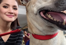 Foto Selfie Fazura Dengan Anjing Dikecam Hebat Netizen