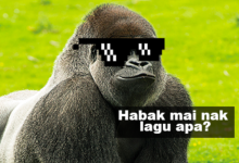 Gorilla Menyanyi? Belum Tengok Gelagat Member- Member Dia Lagi..Seyes Kelakar Wei!