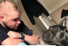 Setia Kepada Tuan, Anjing Ini Mati 15 Minit Selepas Tuannya Meninggal Dunia Akibat Kanser