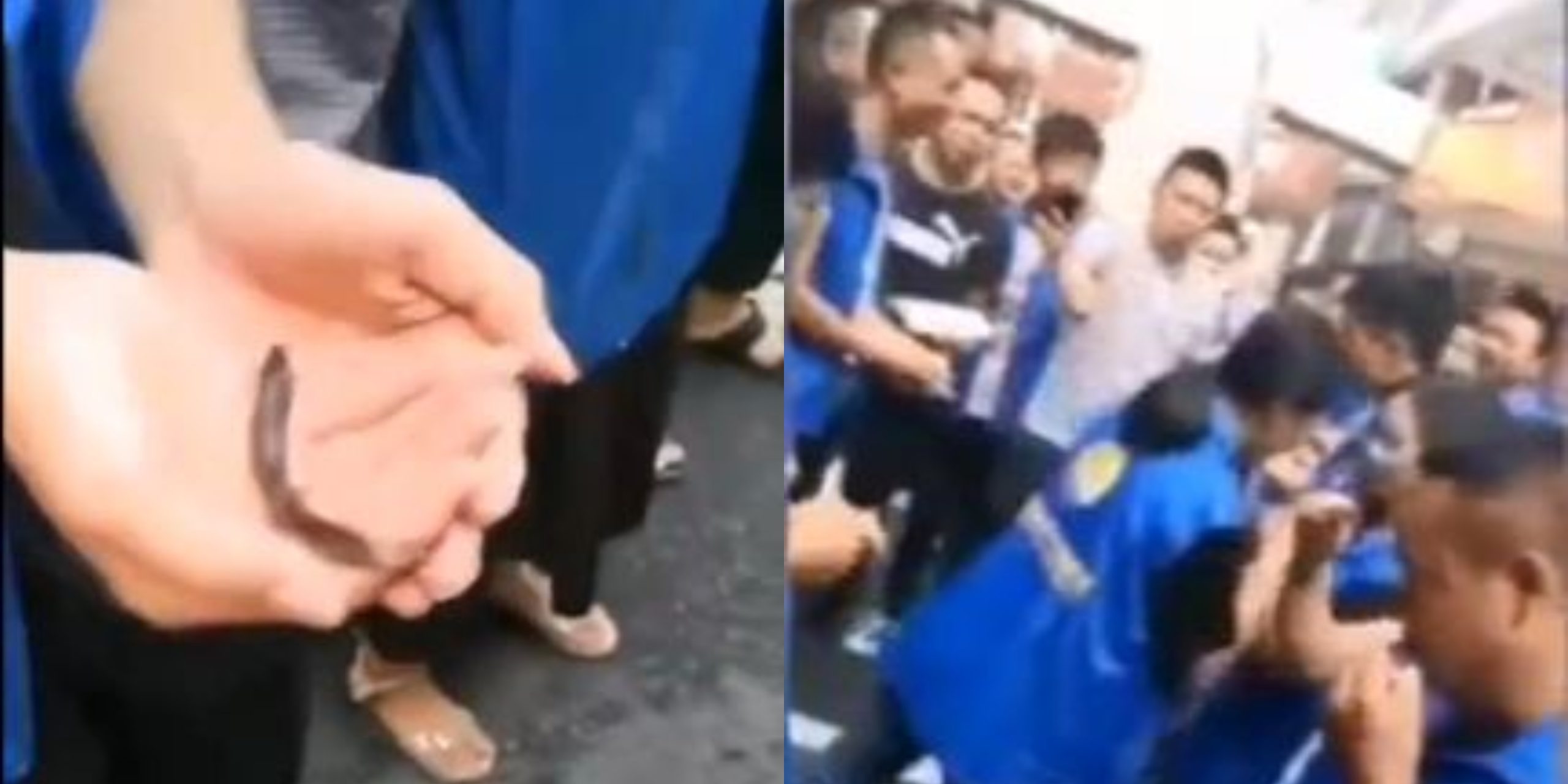 [Video]Menjijikkan! Pekerja China Diarah Makan Ikan Hidup, Minum Darah Ayam Sebab Gagal Capai Target