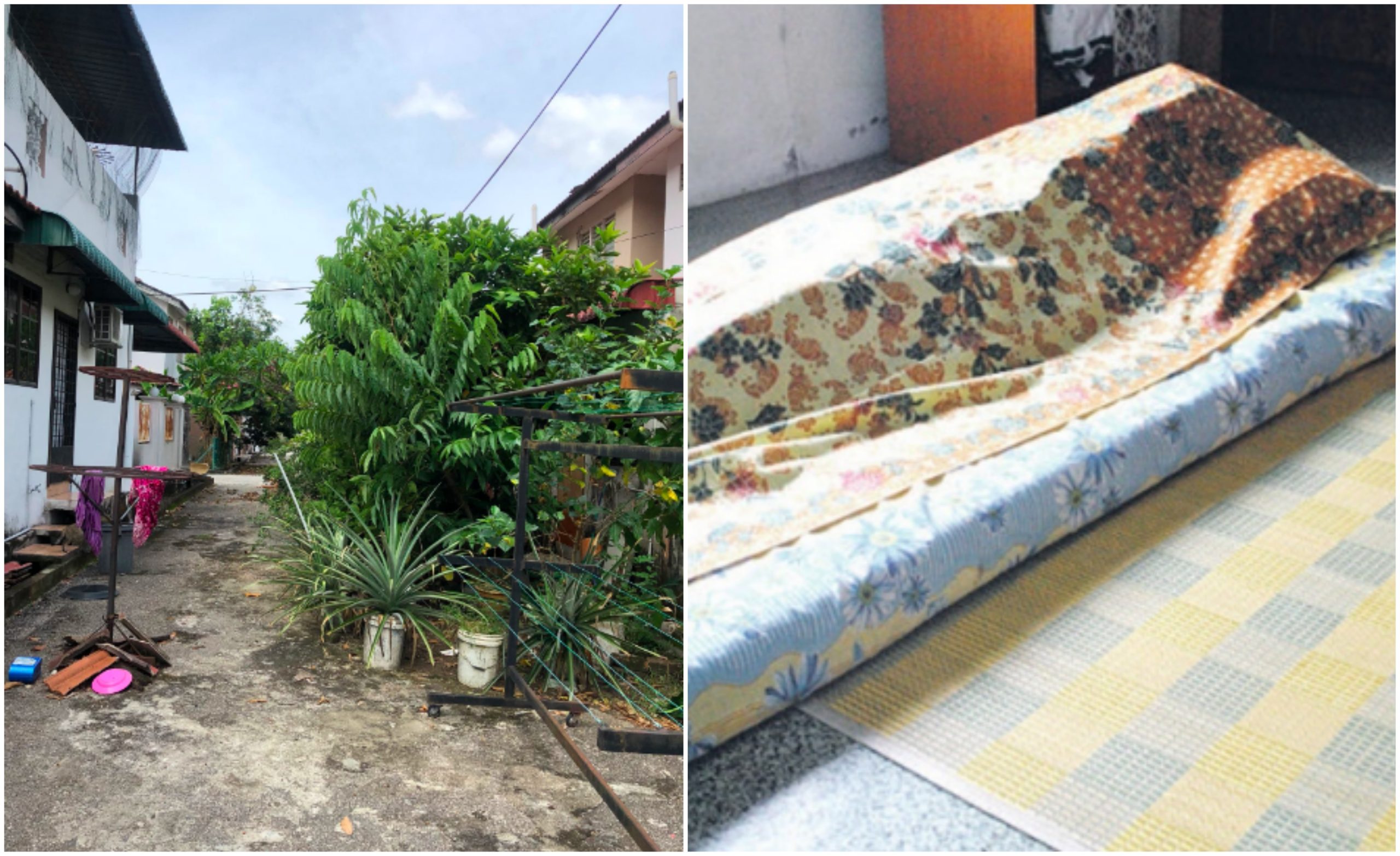 ‘Kerana Pokok-Pokok Jiran Ini, Aku Hilang Orang Aku Paling Sayang…’