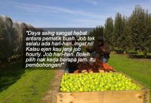 Risiko Ditangkap Polis, Rezeki Tak Suci… Realiti Sebenar Kerja Pemetik Buah Di Perth!