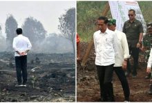 ‘Kelengkapan Ini Tidak Diaktifkan Secara Baik’ – Jokowi Akui Cuai Tangani Jerebu