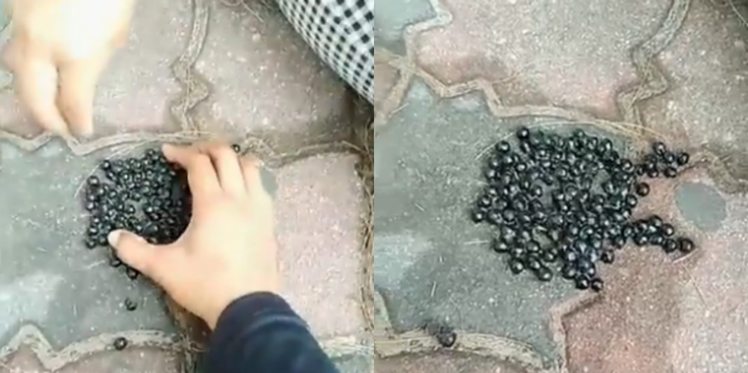 [VIDEO] Buang Minuman Boba Tea Atas Jalan, Remaja Ini Dikecam Tak Faham Konsep Sains