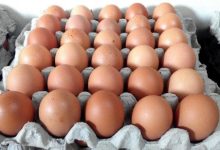 Menteri Beri Jaminan Harga Telur Ayam Akan Stabil Semula, Turun 2 Sen