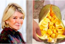 Keliru Nangka Dengan Durian, Chef Selebriti Popular Jadi Bahan Gelak Netizen