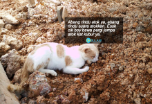 Pimpin Tangan Atok Masuk Syurga Ya – Kisah Kucing Yang Kehilangan Tuannya Ini Buat Kami Sebak