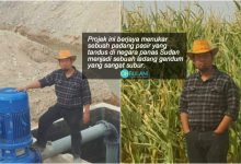 Tukar Padang Pasir Tandus Jadi Ladang Gandum Subur – Kisah Inspirasi Anak Malaysia Yang Buat Kami Kagum!