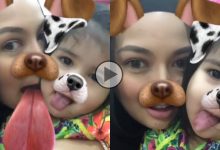 Tak Ada Haiwan Lain Ke? – Kongsi Video Snapchat Menyerupai Anjing, Neelofa Dikecam Netizen