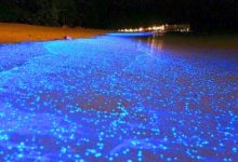 Wow! Pantai Ini Bertukar Biru Pada Waktu Malam..Hanya Di Miri Sarawak!