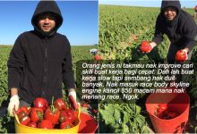 Kerja Petik Buah Tak Mudah – Korang Tak Boleh Kerja Sebagai Pemetik Buah Di Australia Jika Ada 11 Ciri Ini…