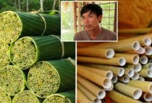 Hasilkan Straw Daripada Rumput Liar, Inovasi Bijak Lelaki Vietnam Ini Dipuji