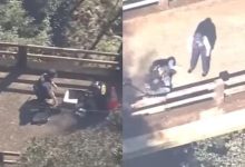 Wanita Maut Terjatuh Dari Jambatan 40 Meter Ketika Leka Merakam Rusa
