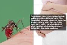 Kes Pertama Disahkan Di Malaysia, Ini Fakta Yang Anda Kena Tahu Tentang Virus Zika & Langkah Pencegahannya