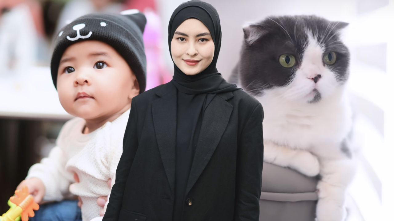 Kucing Wany Hasrita Tolong Jaga Anak – ‘Totot Ada Tepi Aishah, Kadang Jilat Rambut Dia’