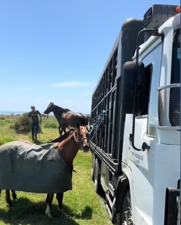 Intan Najuwa Seronok Tunggang Kuda Di New Zealand