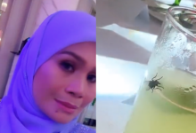 [VIDEO] ‘Pelik Lalat Seekor Ni Asyik Ikut Sampai Ke Hotel Lima Bintang, Besar & Mata Terbeliak’ – Haliza Maysuri