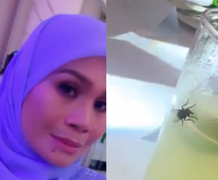 [VIDEO] ‘Pelik Lalat Seekor Ni Asyik Ikut Saya Sampai Ke Hotel Lima Bintang, Besar & Mata Terbeliak’ – Haliza Maysuri
