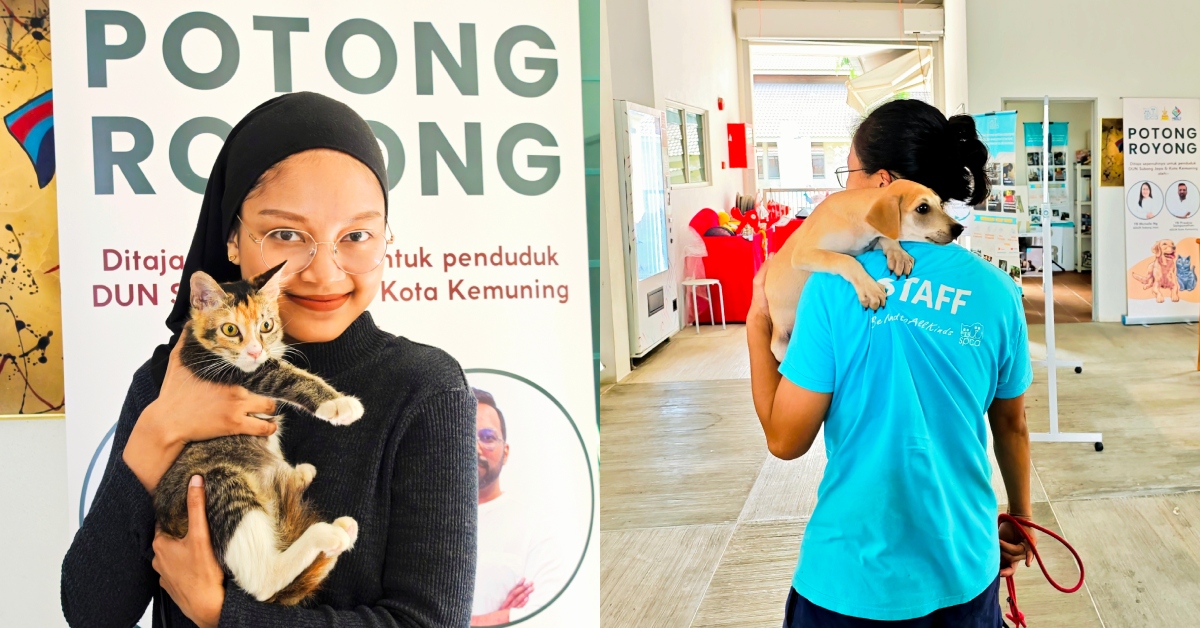 Xiaomi Bersama SPCA Selangor Tampil Dengan Inisiatif Untuk Membantu Lebih 100 Haiwan Terbiar