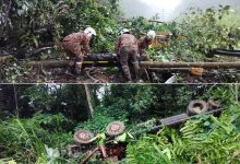 Tersepit Dengan Treler Bawa Jengkaut, Dua Lelaki Meninggal Dunia