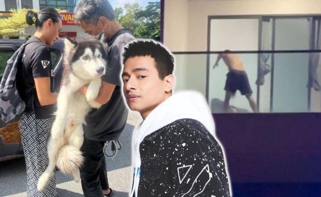 Dafi Ismail Tak Puas Hati Anjing Husky Perlu Dipulangkan Kepada Pemilik – ‘Kalau Tak Boleh Sayang Tak Payah Bela’