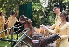 Penyampai Berita TV3 Selamat Bernikah, Pilih Zoo Negara Sebagai Lokasi Perkahwinan