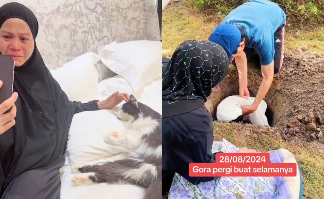 [VIDEO] Haliza Maysuri Tak Dapat Tahan Sebak, Kucing Kesayangan Mati Akibat Sakit Tua – ‘Terima Kasih Tinggal Bersama Kami 18 Tahun’