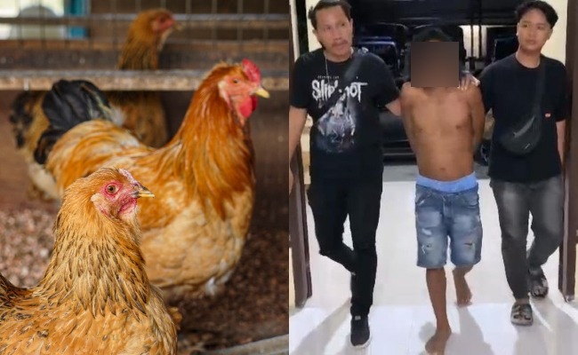 Tak Boleh Jawab Soalan Telur Atau Ayam Wujud Dahulu, Lelaki Tikam Kawan 15 Kali Sampai Mati