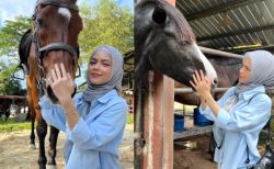[VIDEO] Ira Kazar 'Upload' Gambar Dengan Kuda Di IG, Netizen Puji ...