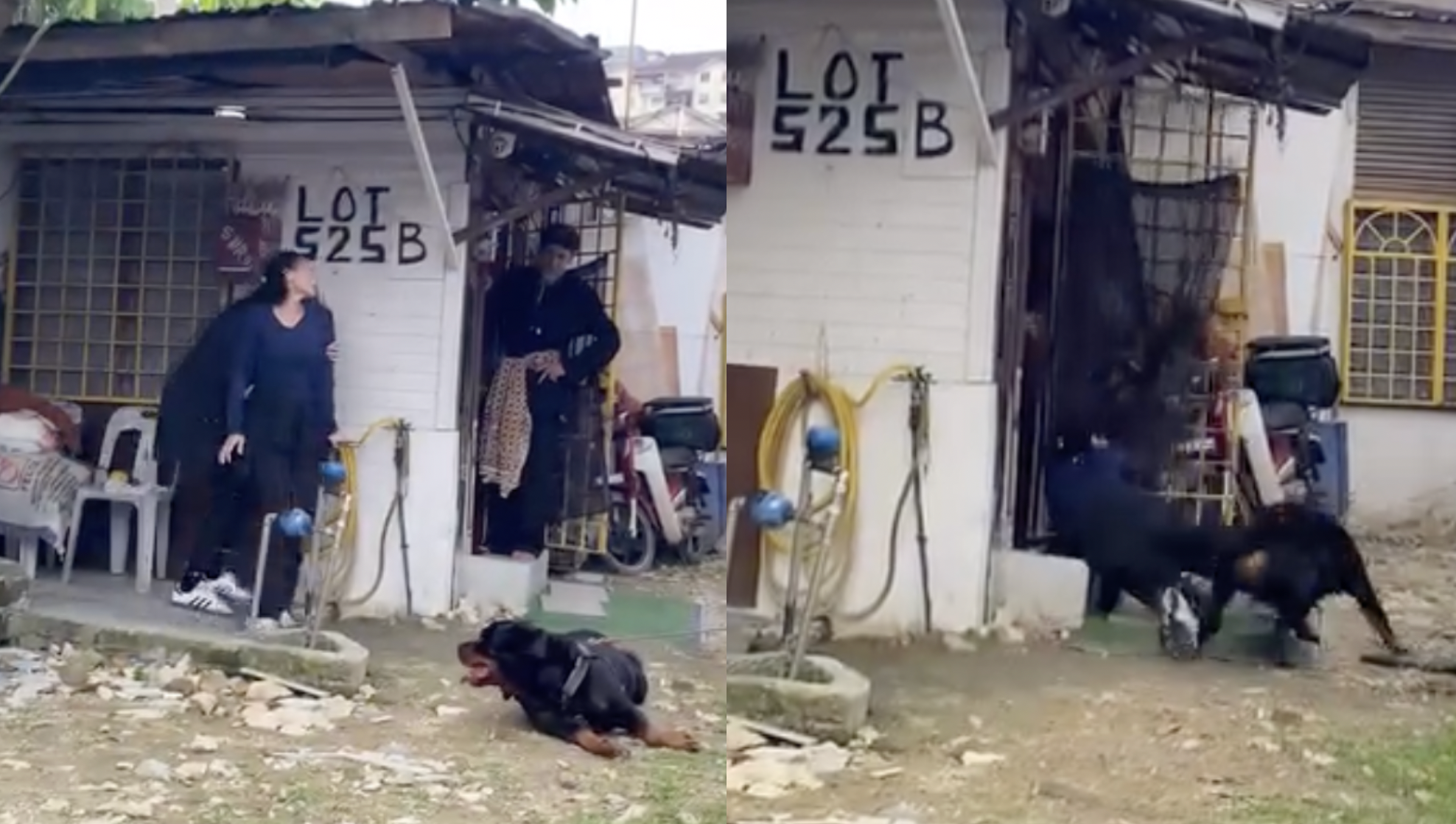 [VIDEO] Mia Nasir Diserang Anjing Jenis Rottweiler Di Set Penggambaran – ‘Syukur Tiada Kecederaan Yang Serius’