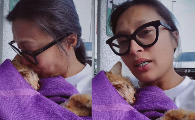 Kucing Nabila Huda Mati Akibat Sakit Buah Pinggang – ‘Aoki Dah Tak Ada’