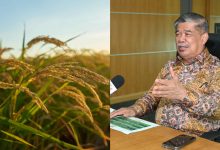 Hidupkan Tanah Sawah Terbiar & Tingkat Hasil, Ini Pelan Besar Belanjawan 2025 Untuk Bekalan Beras Lebih Stabil!