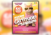 Kucing Anda Penuh Gaya? Sertai Uji Bakat Acara Terbesar, Cat Fashion Week!