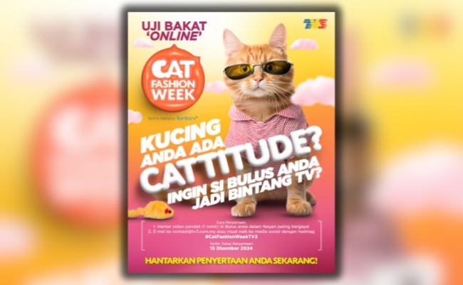 Kucing Anda Penuh Gaya? Sertai Uji Bakat Acara Terbesar, Cat Fashion Week!