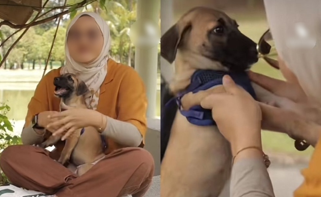 ‘Saya Masih Seorang Muslim’ – Pembantu Veterinar Rasa Tenang Belai Anjing, Netizen Minta Belajar Hukum