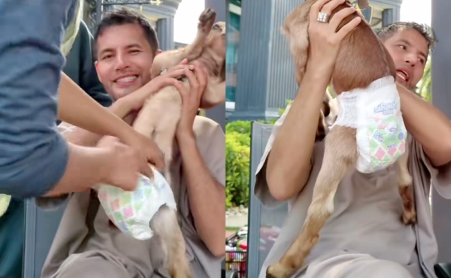 [VIDEO] Aliff Syukri Bikin Netizen Terhibur Pakaikan Kambing Peliharaan ‘Pampers’ – ‘Tolong Jadikan Duta’
