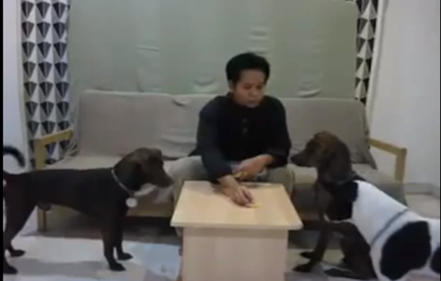 Video : Selepas Alvin & Vivian, Kini Pelatih Anjing Pula?