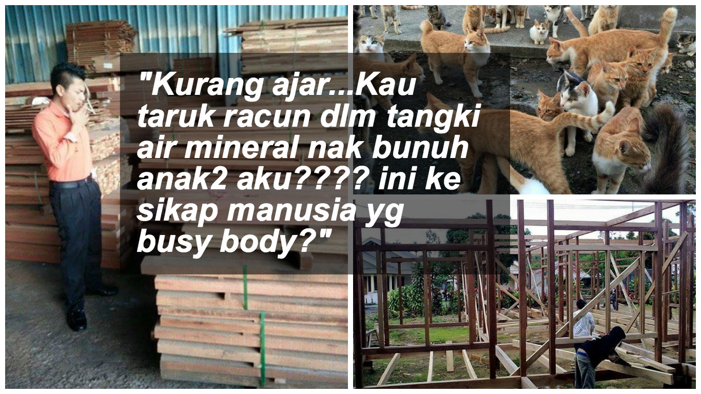 Niat Murni Mahu Beri Perlindungan, Namun Si ‘Busy Body’ Letak Racun Dalam Minuman Kucing…Kurang Ajar!