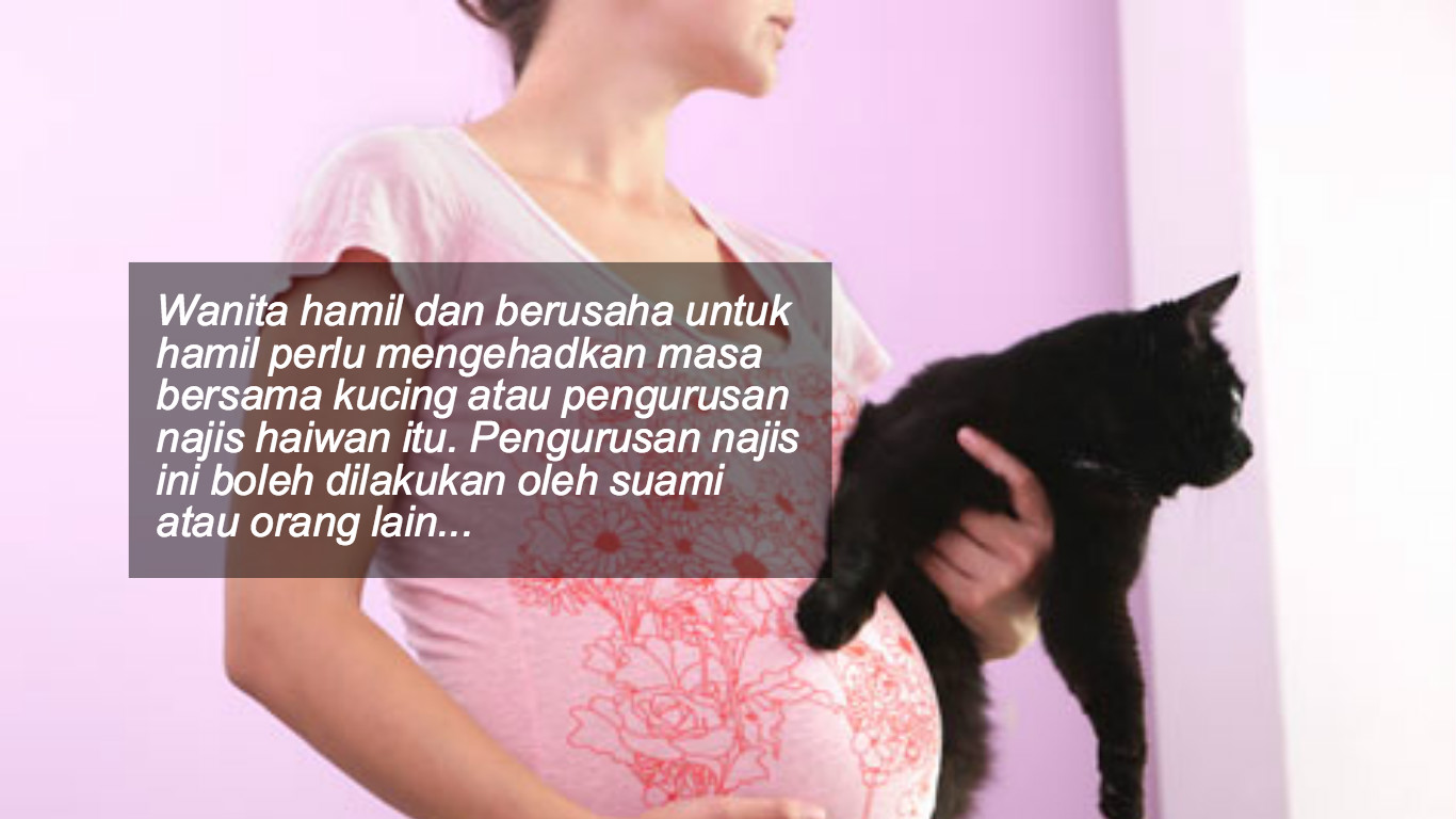 Ini Sebab Wanita Mengandung Kena Elakkan Daripada Pegang Kucing… Takutnya!