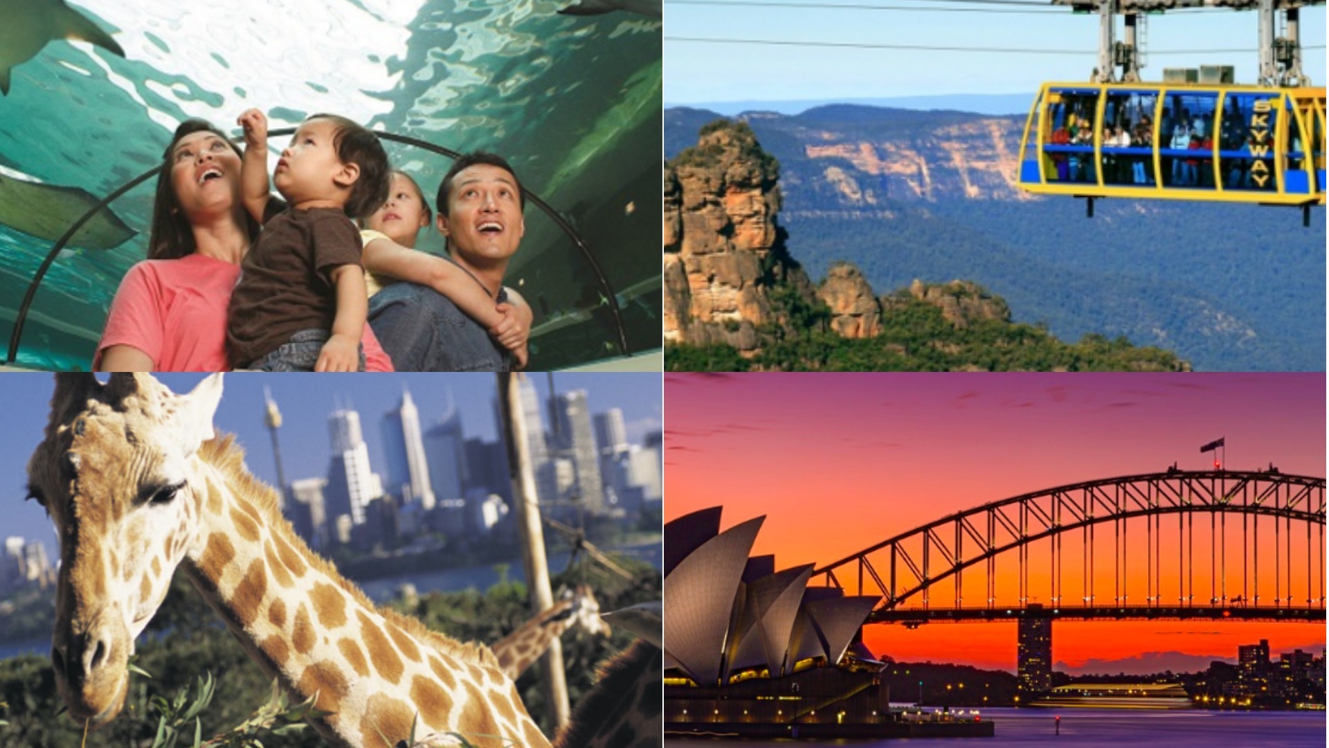 Jangan Ragu Untuk ‘Terbang’ Ke Sydney Bersama Anak Kecil Sebab…Ini Tipsnya!