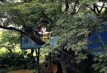 [FOTO] Realisasi Impian Zaman Kanak-Kanak, Tiara Jacquelina Bina Rumah Atas Pokok!