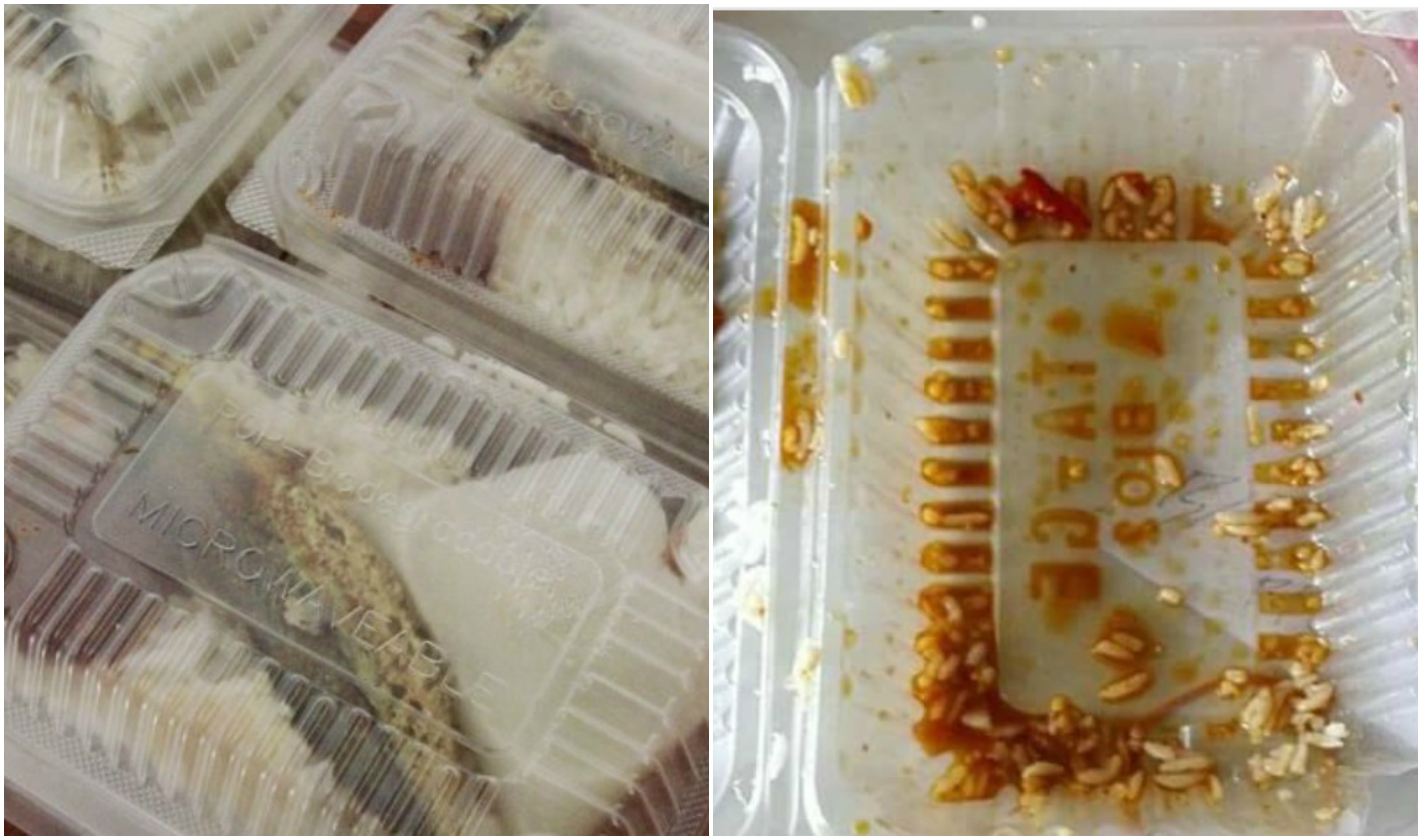 Bekas Makanan Dibuat Daripada Plastik
