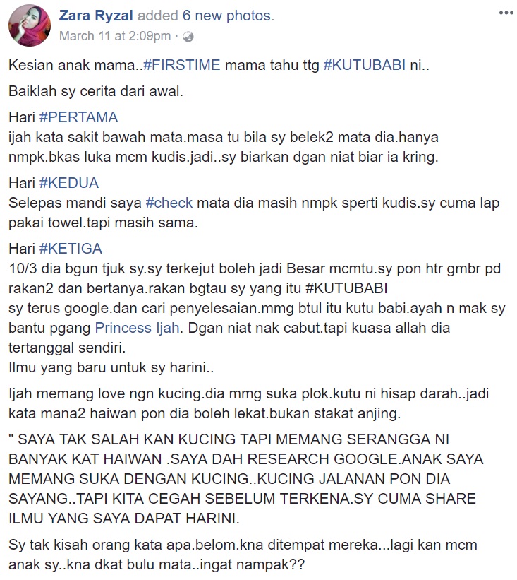 Ibu Kongsi Pengalaman Anak Pertama Kali Diserang Kutu Babi