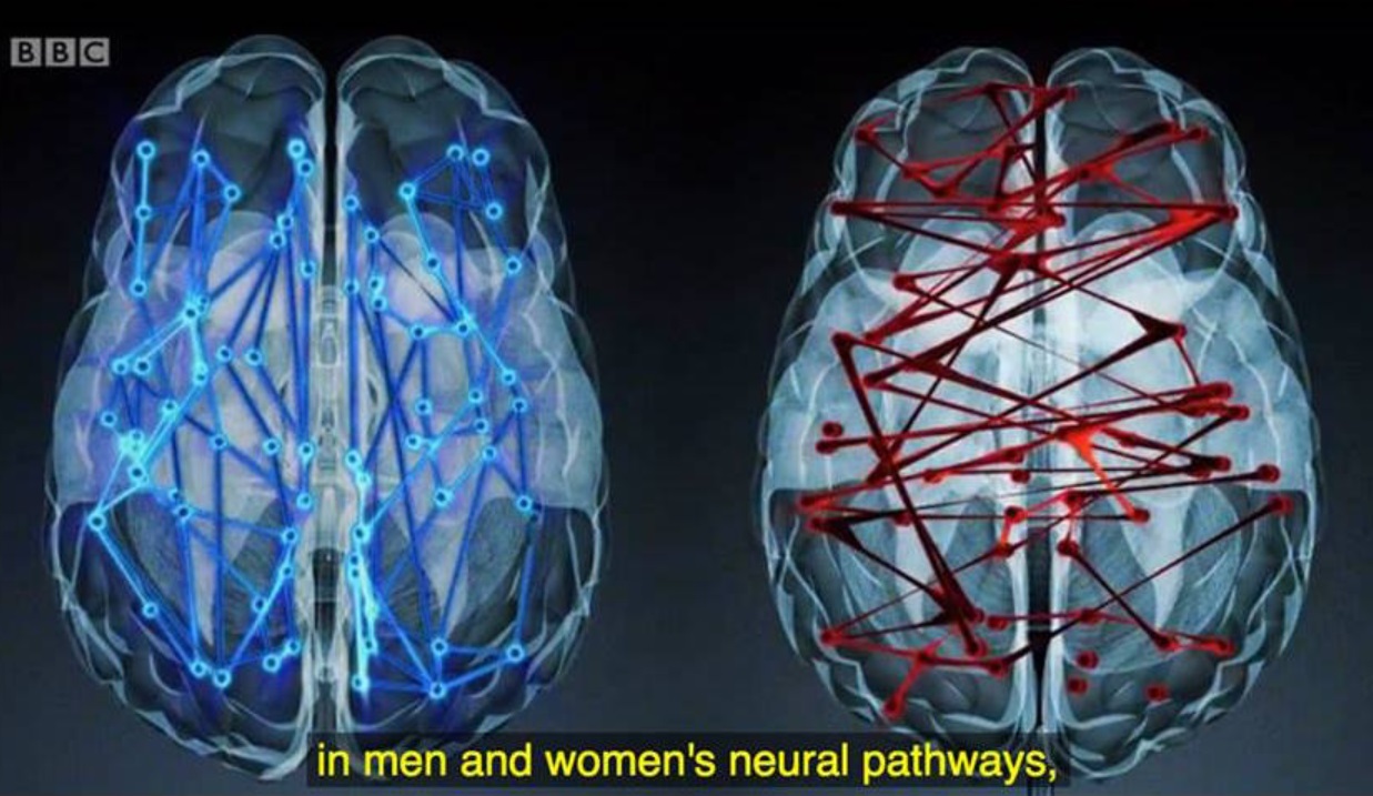 Psychologist Dedah Memori Perempuan Lebih Kuat Berbanding Lelaki No 12 Mesti Ramai Setuju Kan