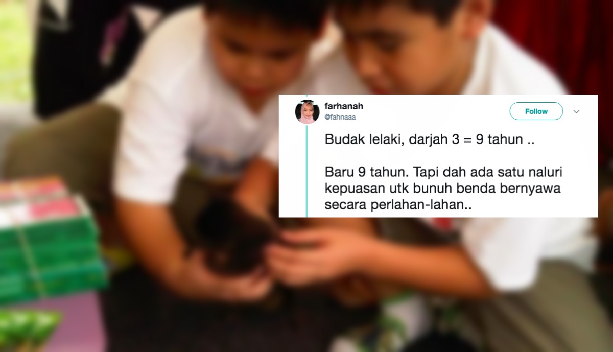 Budak Darjah 3 Bunuh Anak Kucing Dengan Kejam, Bila Ditanya Guru Ini Reaksinya..