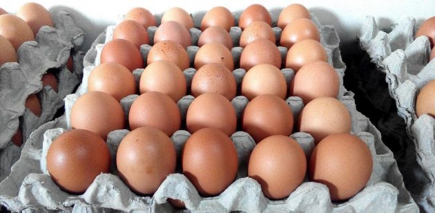 Menteri Beri Jaminan Harga Telur Ayam Akan Stabil Semula, Turun 2 Sen