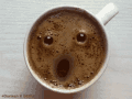 kopi, no coffee